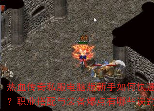 ��Ѫ����˽�����԰�������ο����𲽣�ְҵ������װ����������Щ���ϣ�