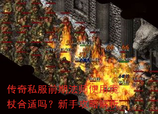 ����˽��ǰ�ڷ�ʦʹ��ħ�Ⱥ��������ֹ��Խ���