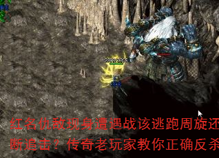 ���������������ս�������������ǹ���׷������������ҽ�����ȷ��ɱ����