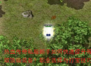 ��Ѫ����˽��������ο��������ȼ�����ȡ����װ����ְҵѡ����򱦼���ȫ����