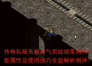 ����˽���޼�����ʵսЧ����Σ��������Լ�ʹ�ü���ȫ�����������