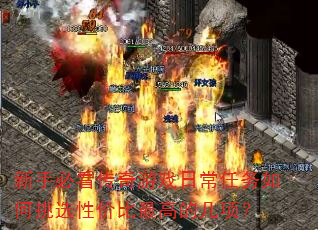 ���ֱؿ�������Ϸ�ճ����������ѡ�Լ۱���ߵļ��