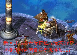 ���������ؿ�����˽�������ο���������ɫ����������Լӳɣ�