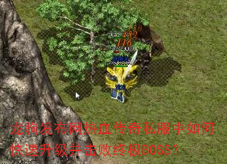 ���Է�������Ѫ����˽������ο��������������ռ�BOSS��