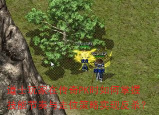 ��ʿ����ڴ���PKʱ������ռ��ܽ�������λ����ʵ�ַ�ɱ��