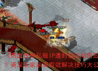 ����Ѫ����˽��IP����������Ӧ�ԣ���������ײ���Ч������ɴ󹫿���