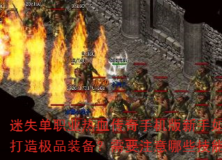 ��ʧ��ְҵ��Ѫ�����ֻ���������ο�����������켫Ʒװ������Ҫע����Щ������ϼ��ɣ�