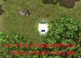 ��β��ܻ��ר���������ʣ�������Ϸ������׹���ȫ����