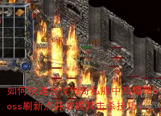 ��ο��ٶ�λ����˽���и߱���bossˢ�µ㲢�������ɱ���ɣ�