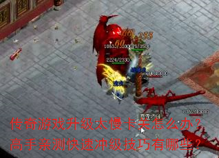 ������Ϸ����̫��������ô�죿�����ײ���ٳ弶��������Щ��