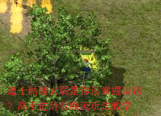 ��ʿ����̫������û���վ��ϣ����ֽ����ٻ����淨��ѧ