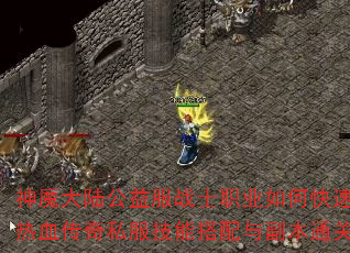 ��ħ��½�����սʿְҵ��ο��ٻ�ȡ����װ������Ѫ����˽�����ܴ����븱��ͨ�ؼ�������Щ��