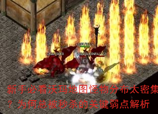 ���ֱؿ������ͼ����ֲ�̫�ܼ���Ϊ���ܱ���ɱ�Ĺؼ��������