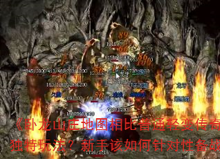 ������ɽׯ��ͼ�����ͨ��䴫������Щ�����淨�����ָ��������Ա�ս����