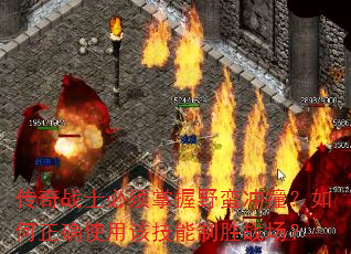 ����սʿ��������Ұ����ײ�������ȷʹ�øü�����ʤս����