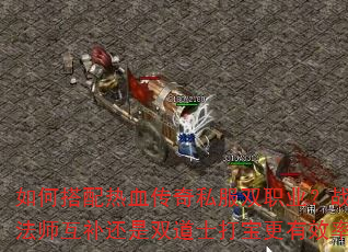 ��δ�����Ѫ����˽��˫ְҵ��սʿ��ʦ��������˫��ʿ�򱦸���Ч�ʣ�