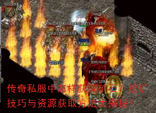 ����˽����������ȡ��ʯ���ڿ�������Դ��ȡ��������أ�