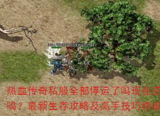 ��Ѫ����˽��ȫ��ͣ���������ڻ��������������湥�Լ����ּ����ռ����