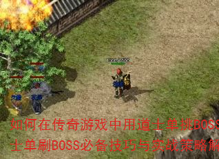 ����ڴ�����Ϸ���õ�ʿ����BOSS����ʿ��ˢBOSS�ر�������ʵս���Խ���