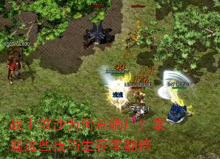 սʿ��ɳΪ������ʬ��������Щ���������ʷ���