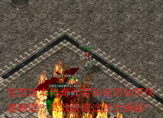 ��̬�汾����Ԫ���ͽ����ο���ˢȡ����Ч��ȡ;������أ�