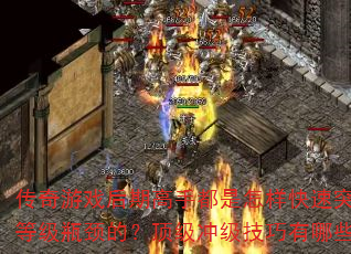 ������Ϸ���ڸ��ֶ�����������ͻ�Ƶȼ�ƿ���ģ������弶��������Щ��