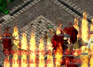 ������Ϸ���л�᳤��������Щ��Ȩ�븣�������ֱؿ�����