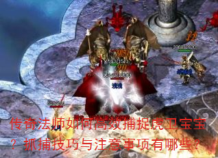 ���淨ʦ��θ�Ч��׽����������ץ��������ע����������Щ��