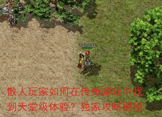 ɢ���������ڴ�����Ϸ���ҵ����ü����飿���ҹ��Խ���