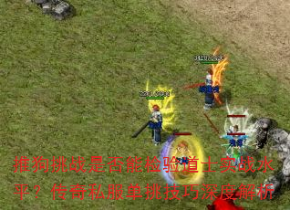 �ƹ���ս�Ƿ��ܼ����ʿʵսˮƽ������˽������������Ƚ���