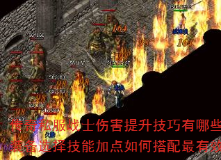 ����˽��սʿ�˺�������������Щ��װ��ѡ���ܼӵ���δ�������Ч��