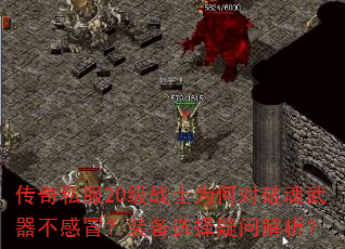 ����˽��20��սʿΪ�ζ��ƻ���������ð��װ��ѡ�����ʽ�����