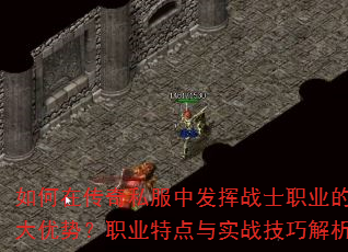 ����ڴ���˽���з���սʿְҵ��������ƣ�ְҵ�ص���ʵս���ɽ���