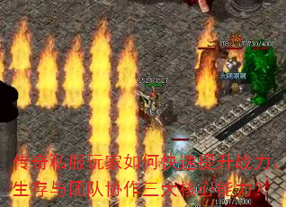 ����˽�������ο�������ս�����������Ŷ�Э���������������