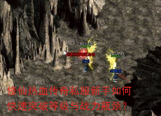 ������Ѫ����˽��������ο���ͻ�Ƶȼ���ս��ƿ����