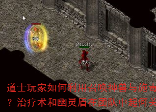 ��ʿ�����������ٻ�������ʩ�����ư�ս��������������������Ŷ�����ιؼ����ã�