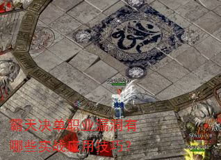 �������ְҵ©������ЩʵսӦ�ü��ɣ�