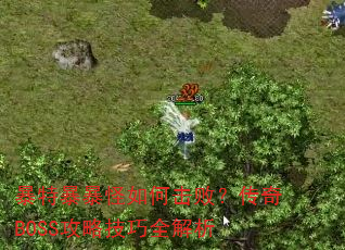 ���ر�������λ��ܣ�����BOSS���Լ���ȫ����