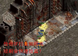 ����SF�����θ�Чˢ������¸���