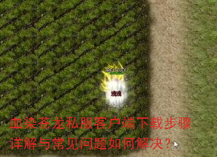 ѪȾ����˽���ͻ������ز�������볣��������ν����