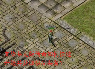 ѪȾ�����洫����ο�����������ȡ��Ʒװ����