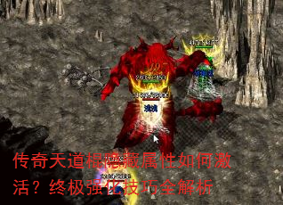 �������������������μ���ռ�ǿ������ȫ����