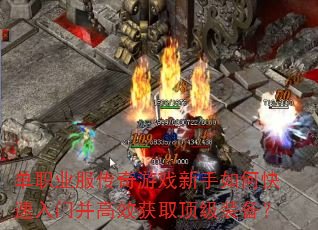 ��ְҵ��������Ϸ������ο������Ų���Ч��ȡ����װ����