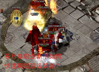 ���µ�ְҵ������ο���ˢ������װ����