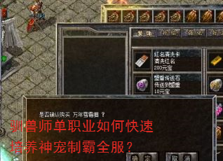 ѱ��ʦ��ְҵ��ο�����������ư�ȫ����