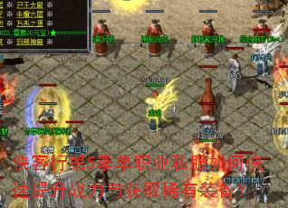 �����е�5����ְҵ˽����ο�������ս�����ȡϡ��װ����