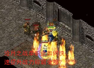 ����֮ս��ְҵ��ο�������ս���ư�ȫ����