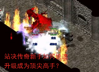 վ������������ο���������Ϊ������֣�