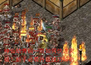 ���ɽ���ͭһ����ο���ͻ�ƣ����ֱؿ��������ɽ���