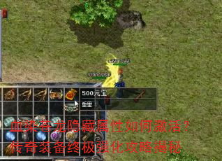 ѪȾ��������������μ������װ���ռ�ǿ�����Խ���